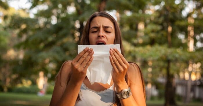 The most common symptoms of hay fever include sneezing and a runny nose, itching in the nose, mouth, and throat, a blocked nose, watery and itchy eyes, ear and headache pain, and general fatigue.