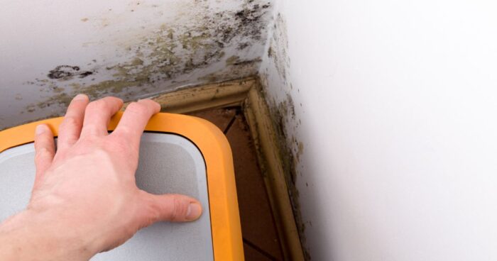 Mould allergy is an adverse reaction of the immune system to microscopic spores. They thrive in damp environments and grow both outdoors and indoors.