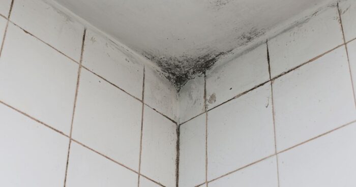 If humidity in your home is high (you can check it easily with an inexpensive hygrometer), consider using a dehumidifier.