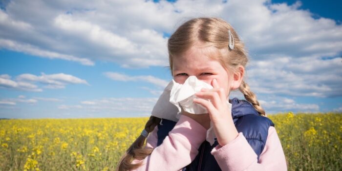 Pollen allergy