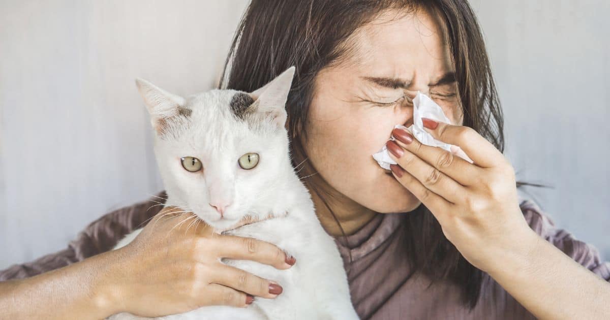 Allergy to animal fur is a misleading term. The real culprits are proteins found in the animal's skin oils, saliva, sweat, faeces, and urine. Pet dander allergy is actually an immune system reaction to proteins in an animal's skin and bodily secretions.