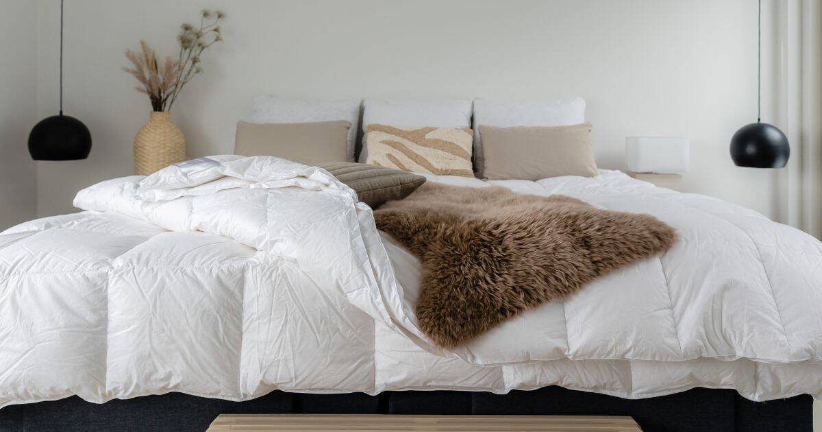 You've probably spotted duvets labelled anti-allergy in shops or online and thought your problem was solved. Unfortunately, the reality is more complicated — most of these products simply don't work.