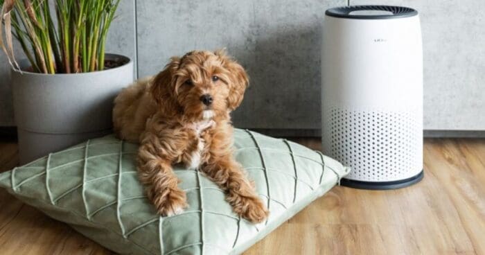 Nano air purifiers break down harmful chemical substances and eliminate bacteria and viruses indoors.