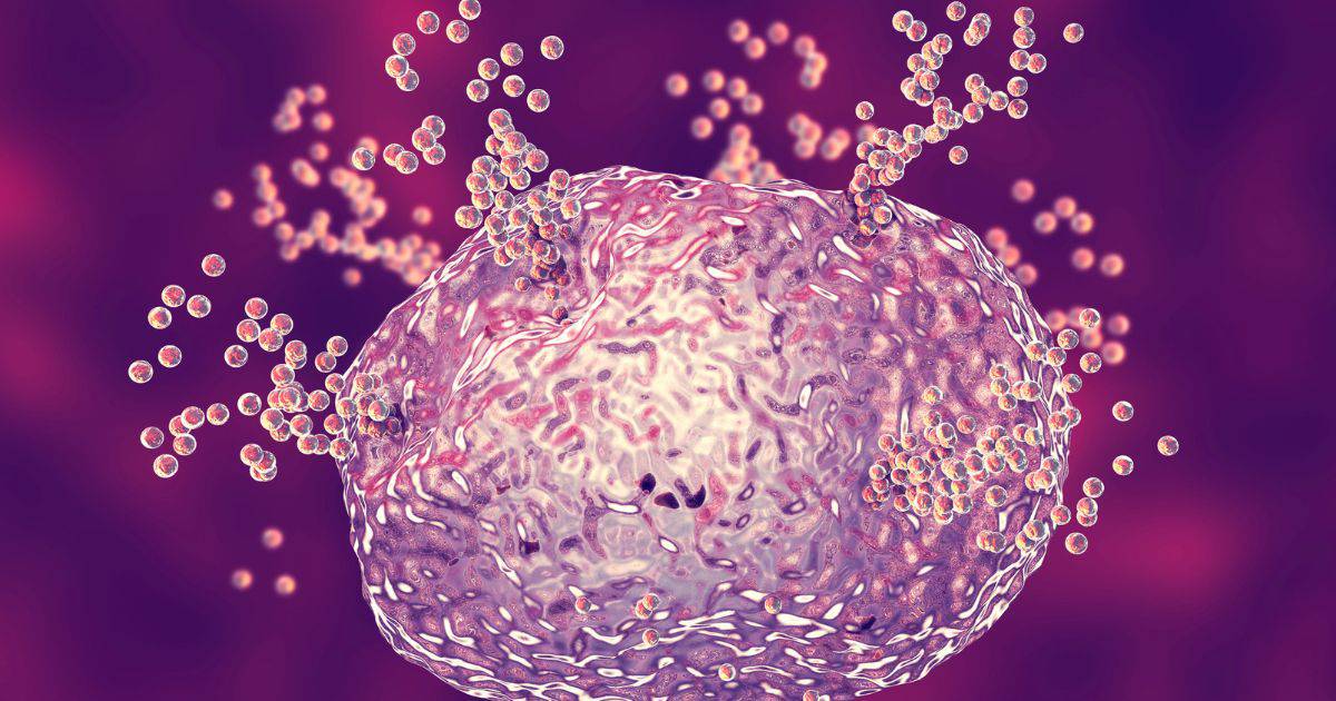 Histamine intolerance is a condition in which the body cannot properly process histamine. It is a form of food intolerance — not the same as a digestive disorder or a food allergy.