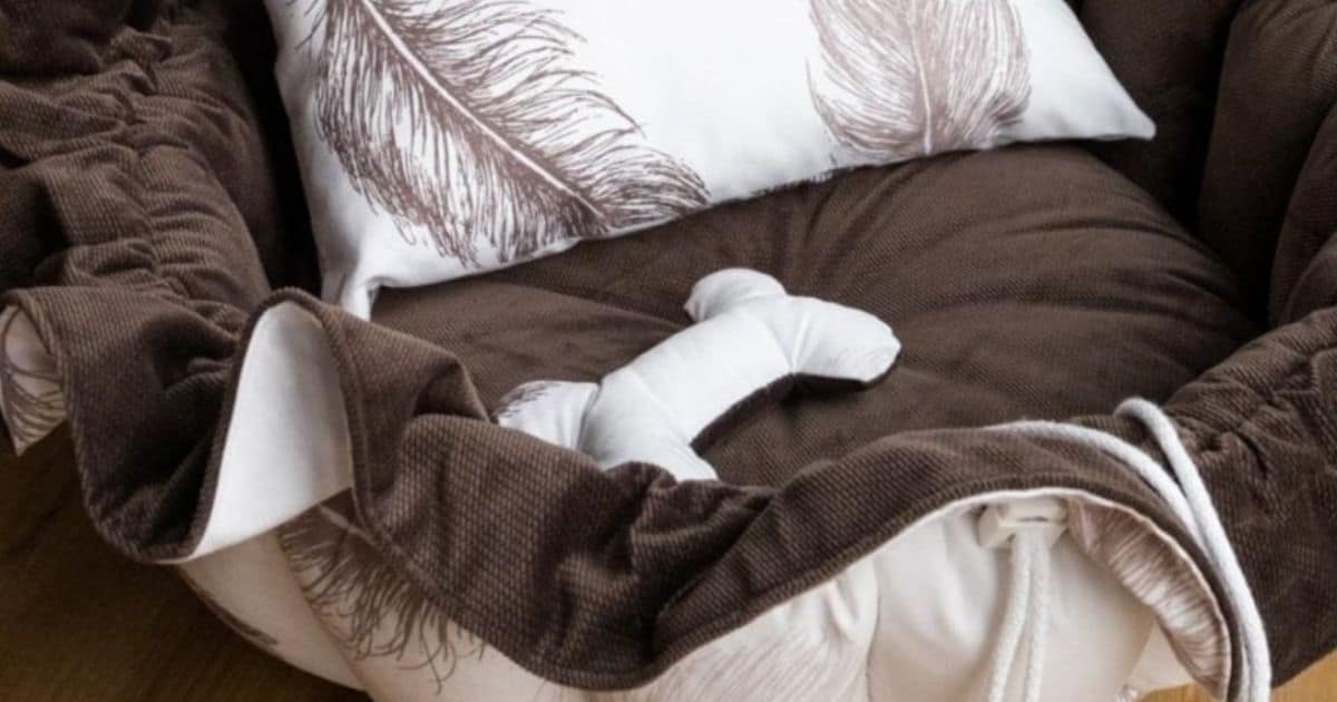 how to deal with fleas in bed — checking a pet's fur and anti-parasitic products