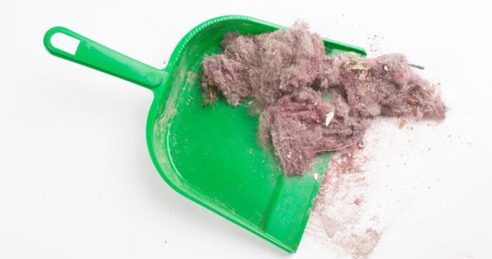 Dust can irritate your airways, but it isn't an allergen itself. It's more like a home for allergenic particles. The term 'dust allergy' should really be replaced with 'dust mite allergy', since dust mites love to settle in household dust.