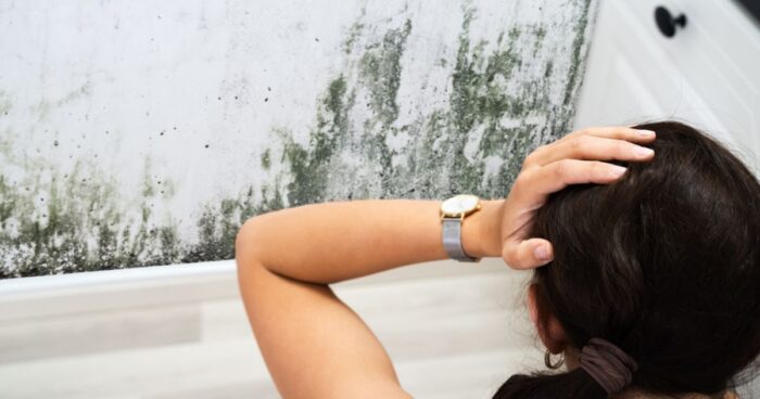 The most important step in getting rid of mould on walls at home is identifying the cause of its growth.