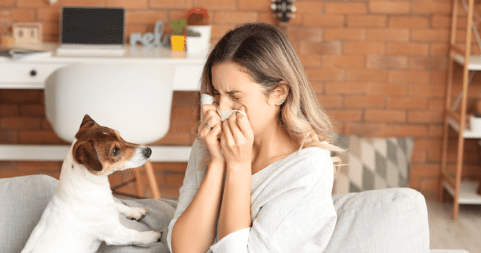 If you live with allergies, keeping indoor air free from allergens is essential. An air purifier can help. Here's how to choose the right one.