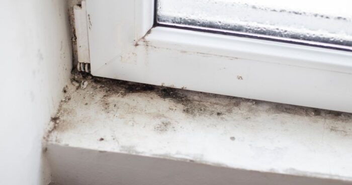 If you've spotted mould in your home, it's important to remove it as quickly as possible. If mould keeps coming back in the same spot, it could be a sign of a bigger underlying issue. In that case, contact a professional who can determine the cause and recommend an appropriate solution.
