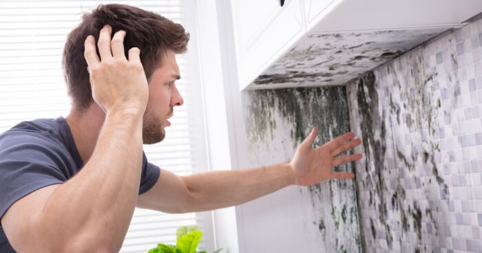Mould can have a negative impact on your health. In this article, we look at why mould forms, which types to watch out for, how to prevent it and how to get rid of it.
