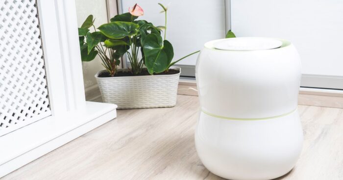 Keep humidity levels in your home under control. Use dehumidifiers that draw moisture from the air, creating conditions where mould simply can't thrive.