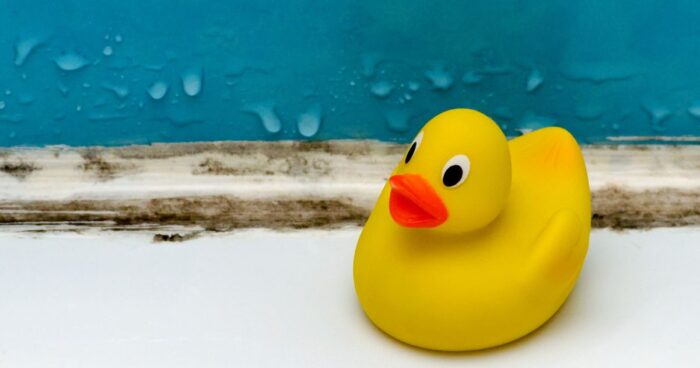 Mould in a flat or house can develop due to excess moisture, poor ventilation, insulation, and maintenance.