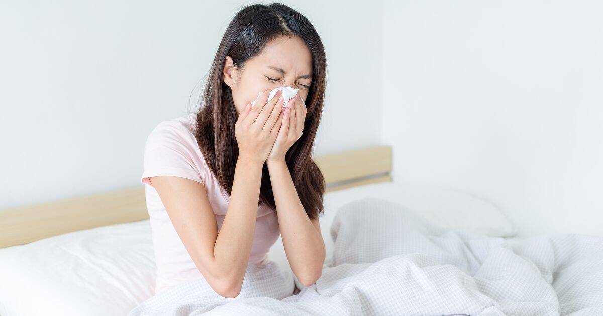 Dust mite allergy is one of the most common chronic allergies worldwide. It affects nearly 20% of the population and can cause a range of unpleasant symptoms — from morning sniffles and sneezing to asthma attacks.