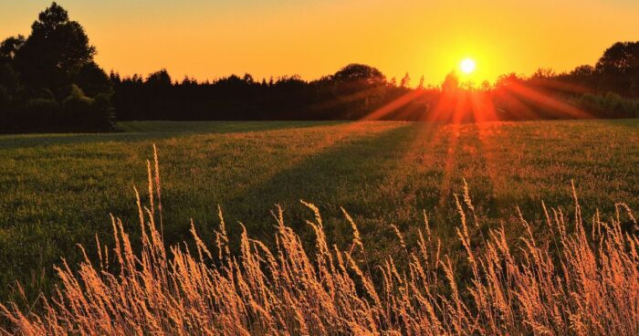 A sunrise alarm clock designed to mimic the gradual brightening of the sky at dawn.