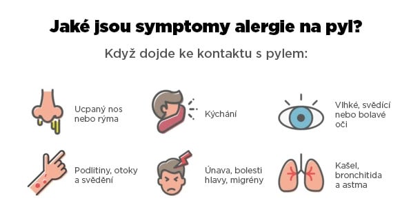 Common pollen allergy symptoms infographic